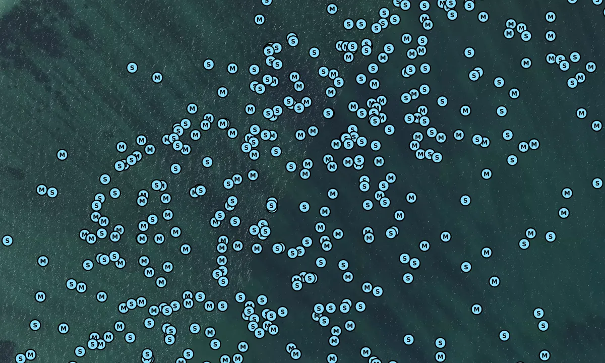 Satelite image of Rade de Houat