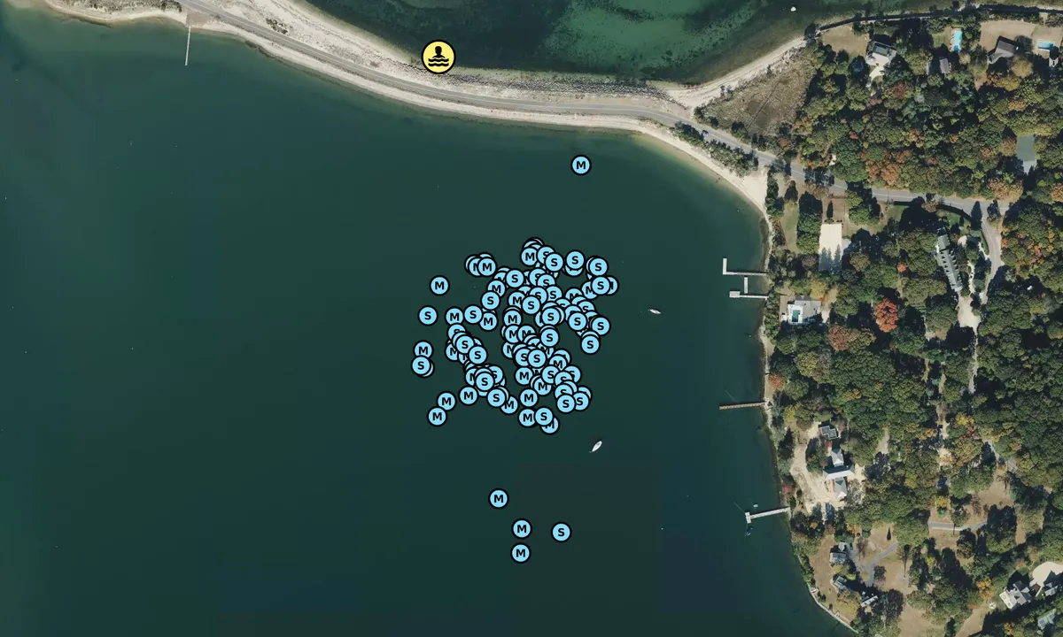Satelite image of Ram Island - Shelter Island