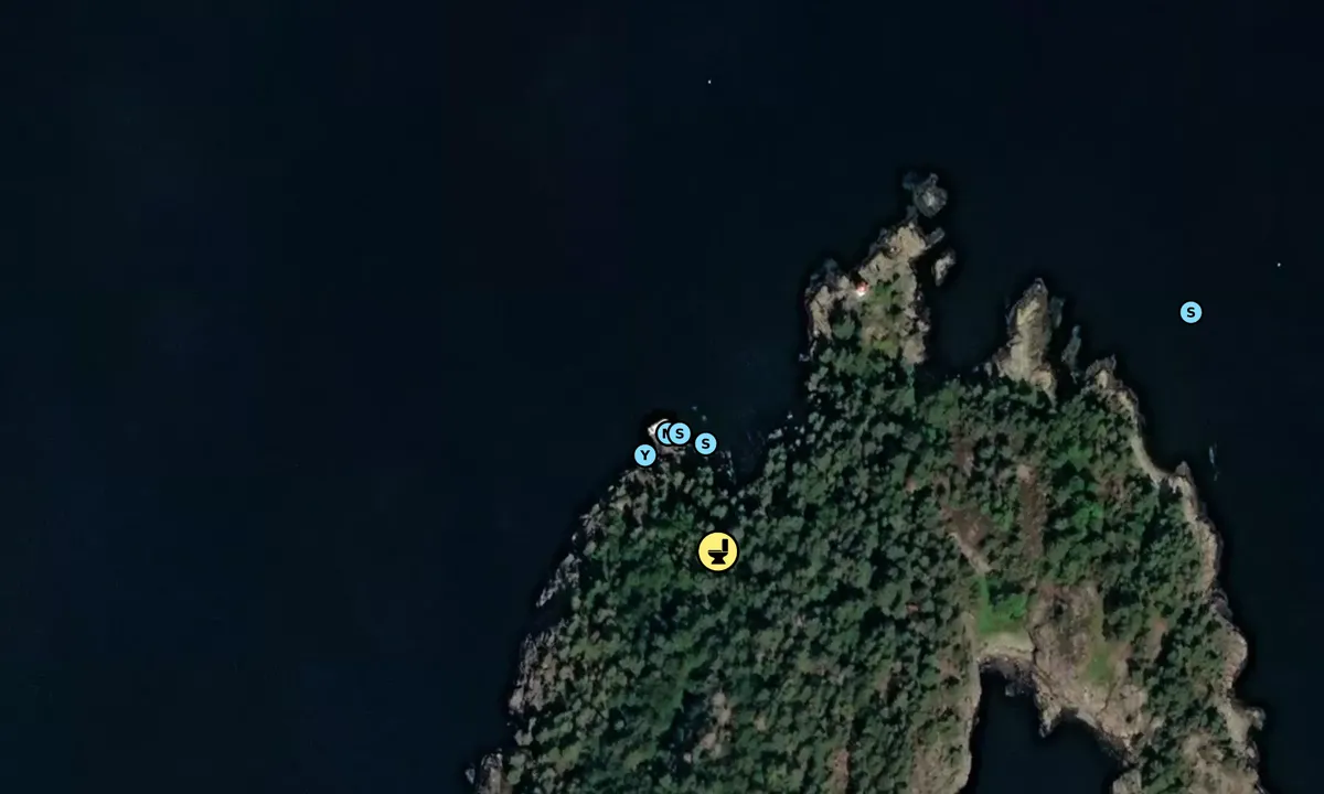 Satelite image of Ranvikholmen Nord