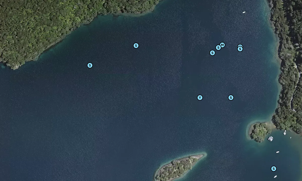 Satelite image of Rarowharo Bay