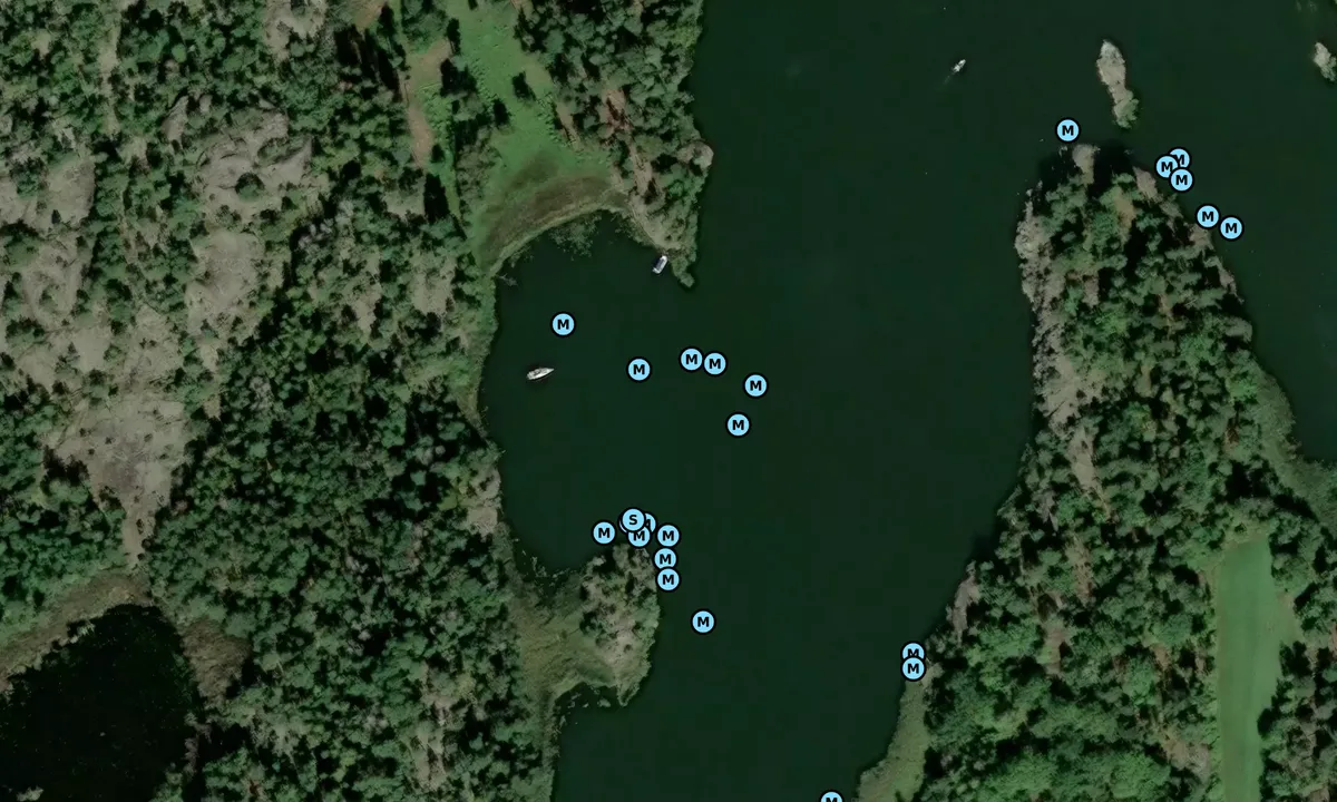 Satelite image of Rassa vikar