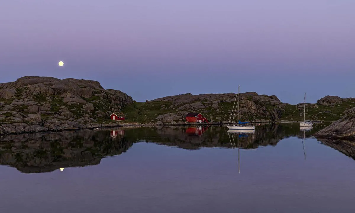 Rausvågen