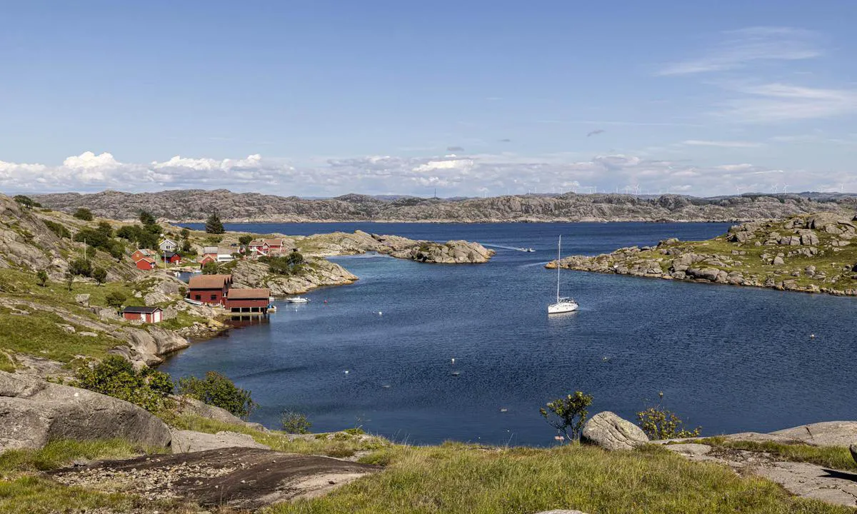 Rausvågen