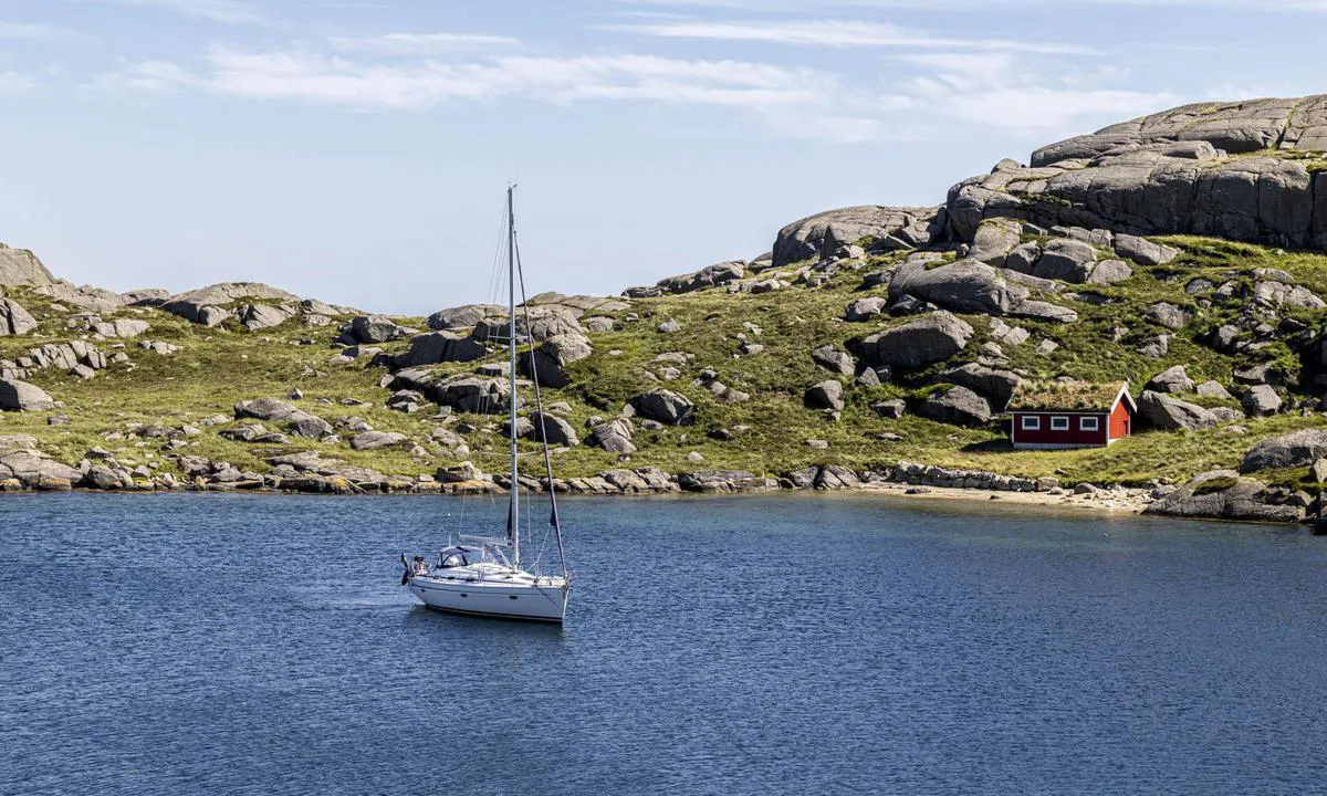Rausvågen