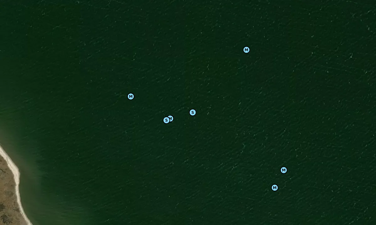 Satelite image of Reeds Point