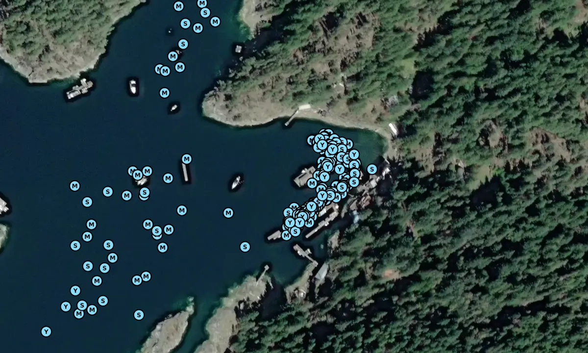Satelite image of Refuge Cove