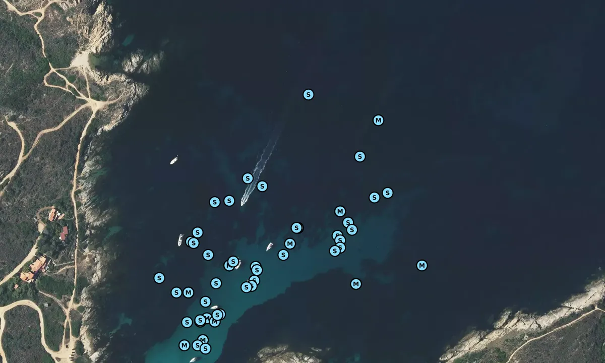 Satelite image of Revellata Bay