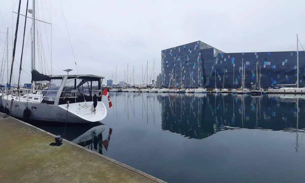 Reykjavik - Brokey
