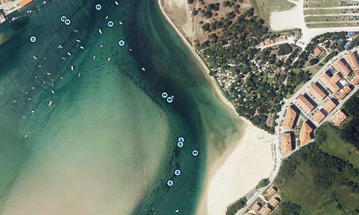 Satelite image of Ría de San Vicente
