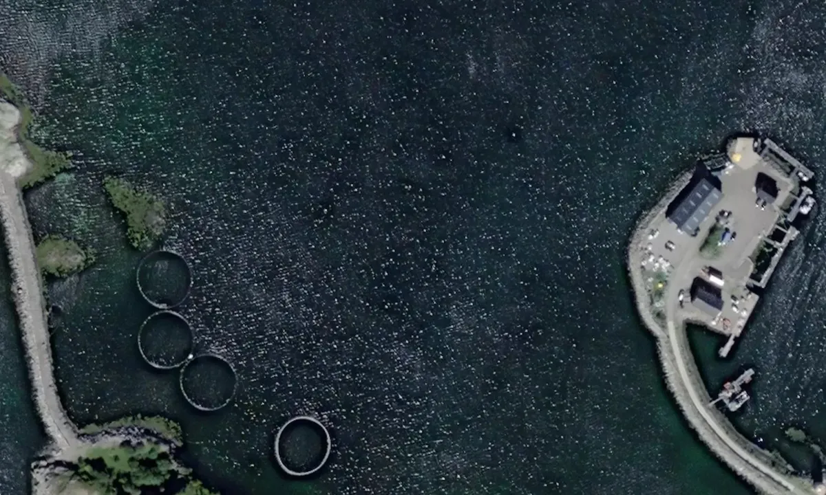 Satelite image of Ringskjærsvika