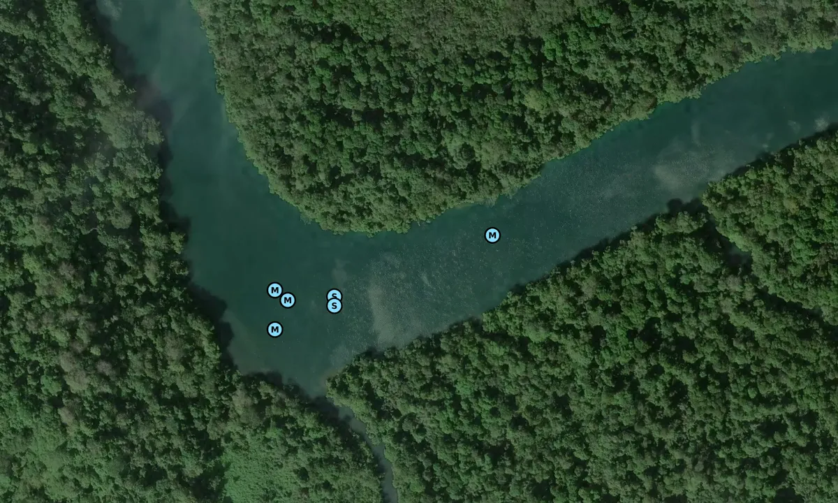 Satelite image of Rio Chagres 1