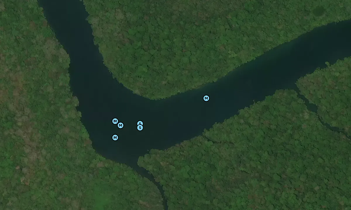 Satelite image of Rio Chagres 1