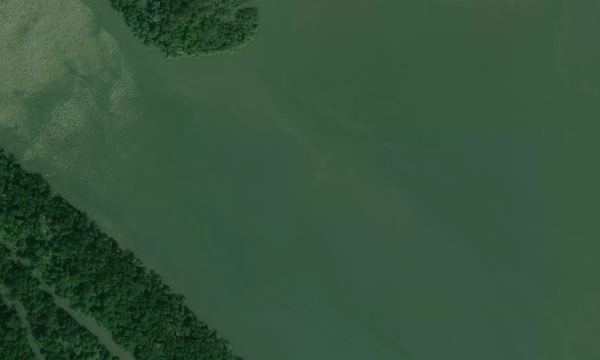 Satelite image of Rio Congo North