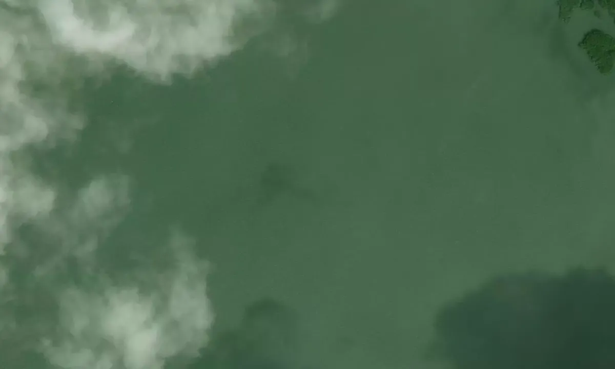 Satelite image of Rio Cunati