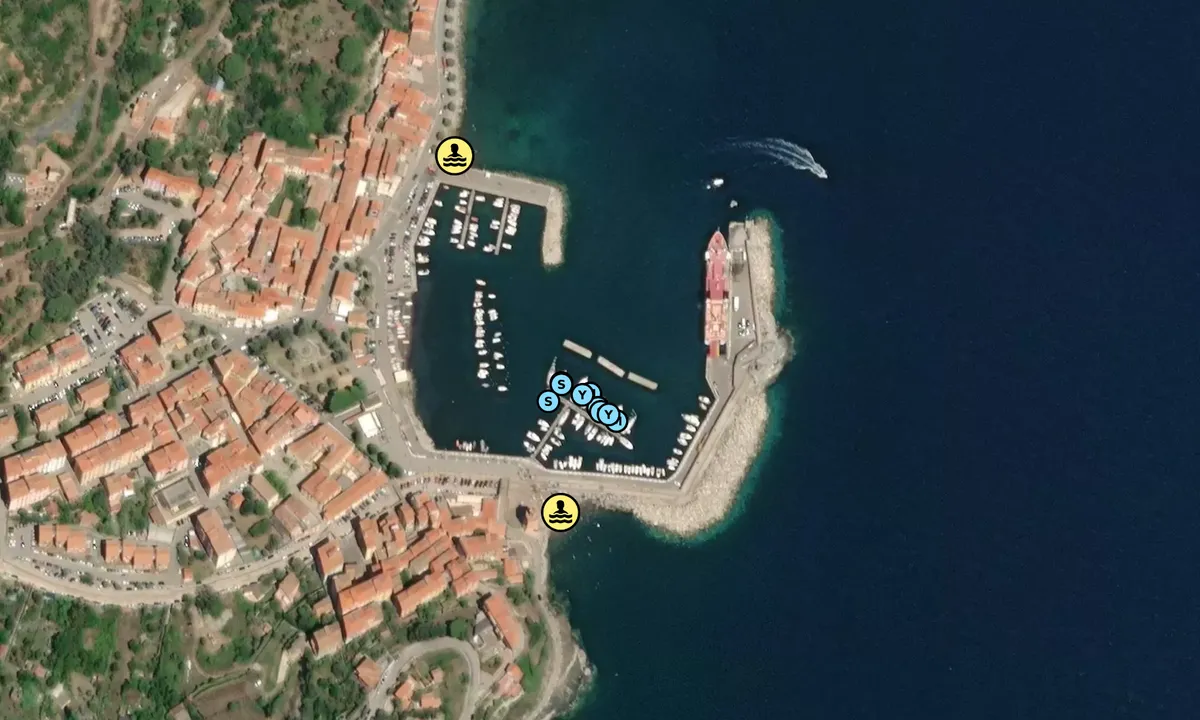 Satelite image of Rio Marina