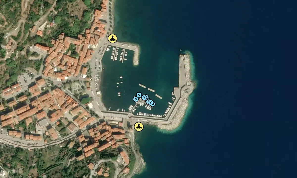 Satelite image of Rio Marina