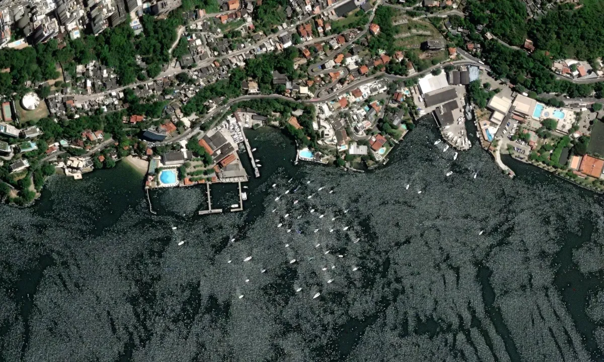 Flyfoto av Rio Yacht Club