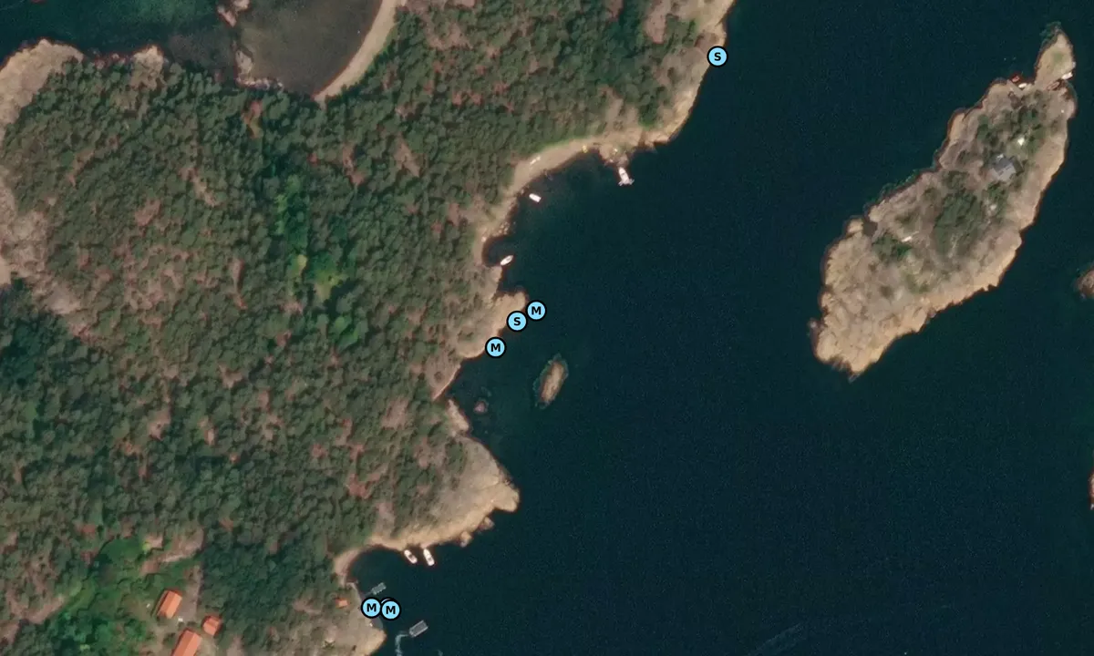 Satelite image of Risholmen - øst