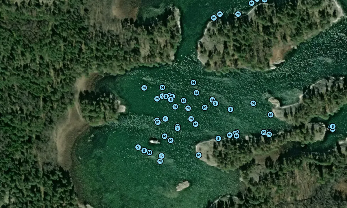 Satelite image of Risö