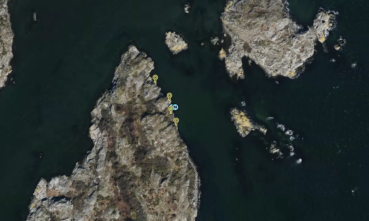 Satelite image of Risö NO