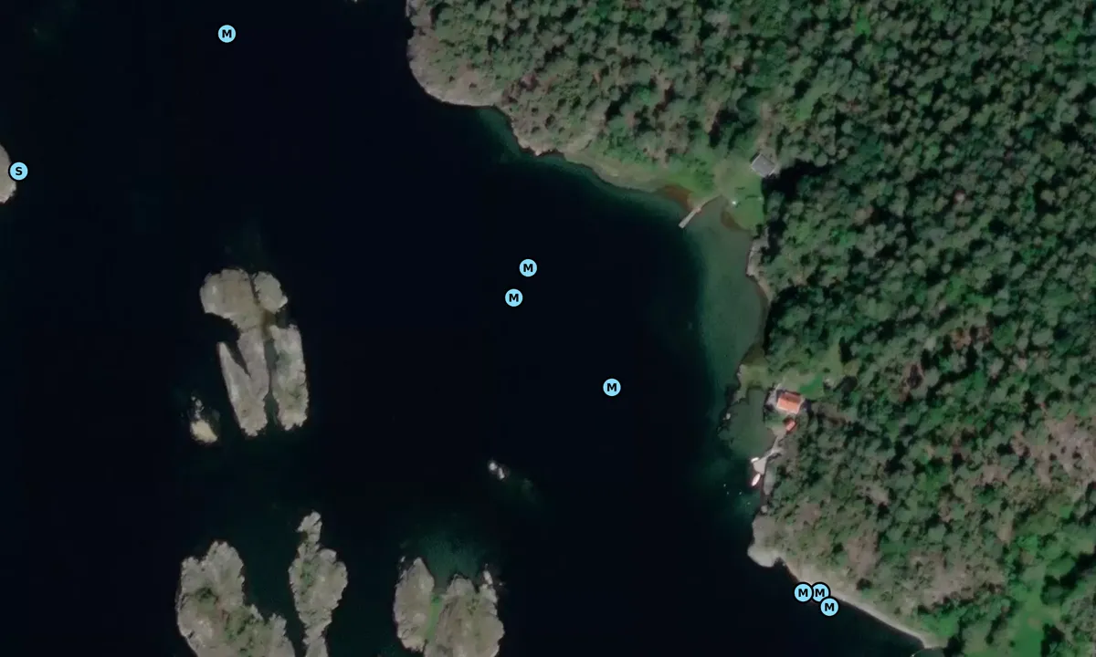 Satelite image of Risøyholmene