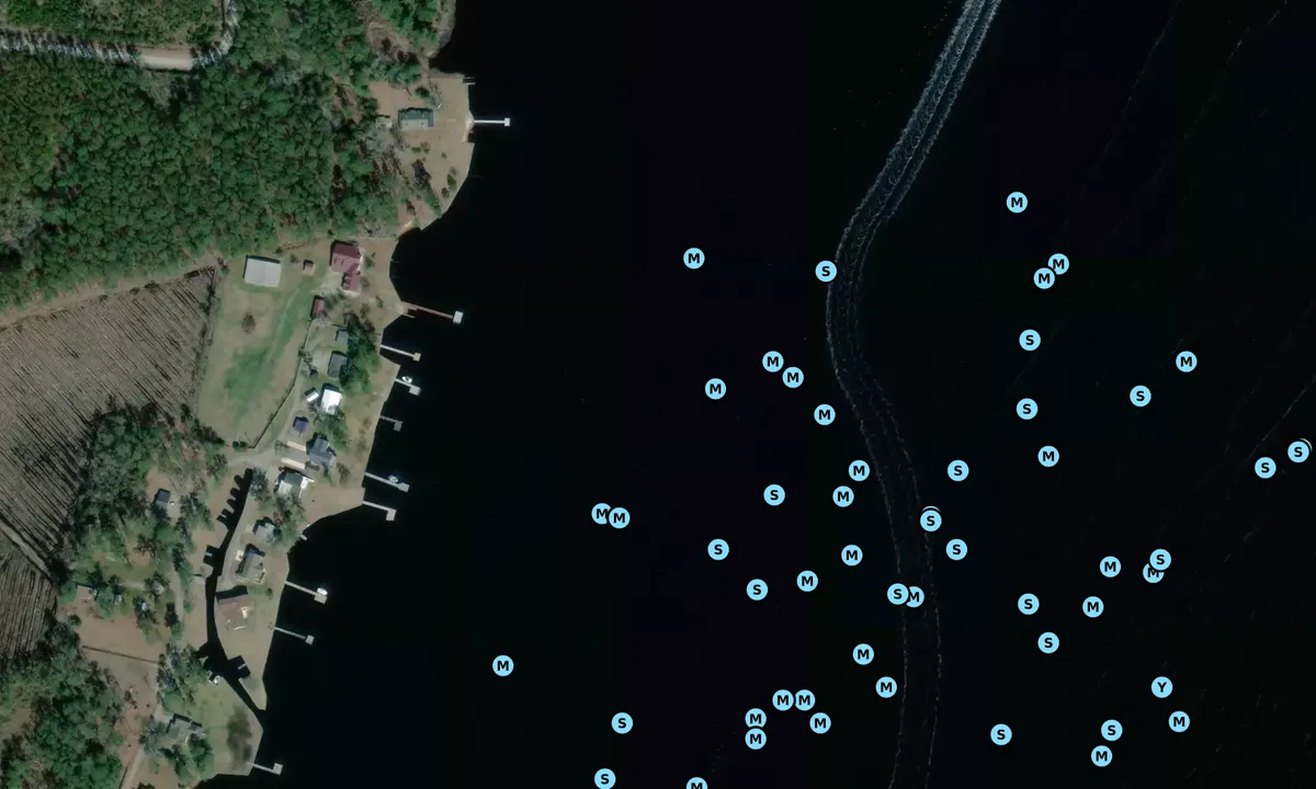 Satelite image of River View