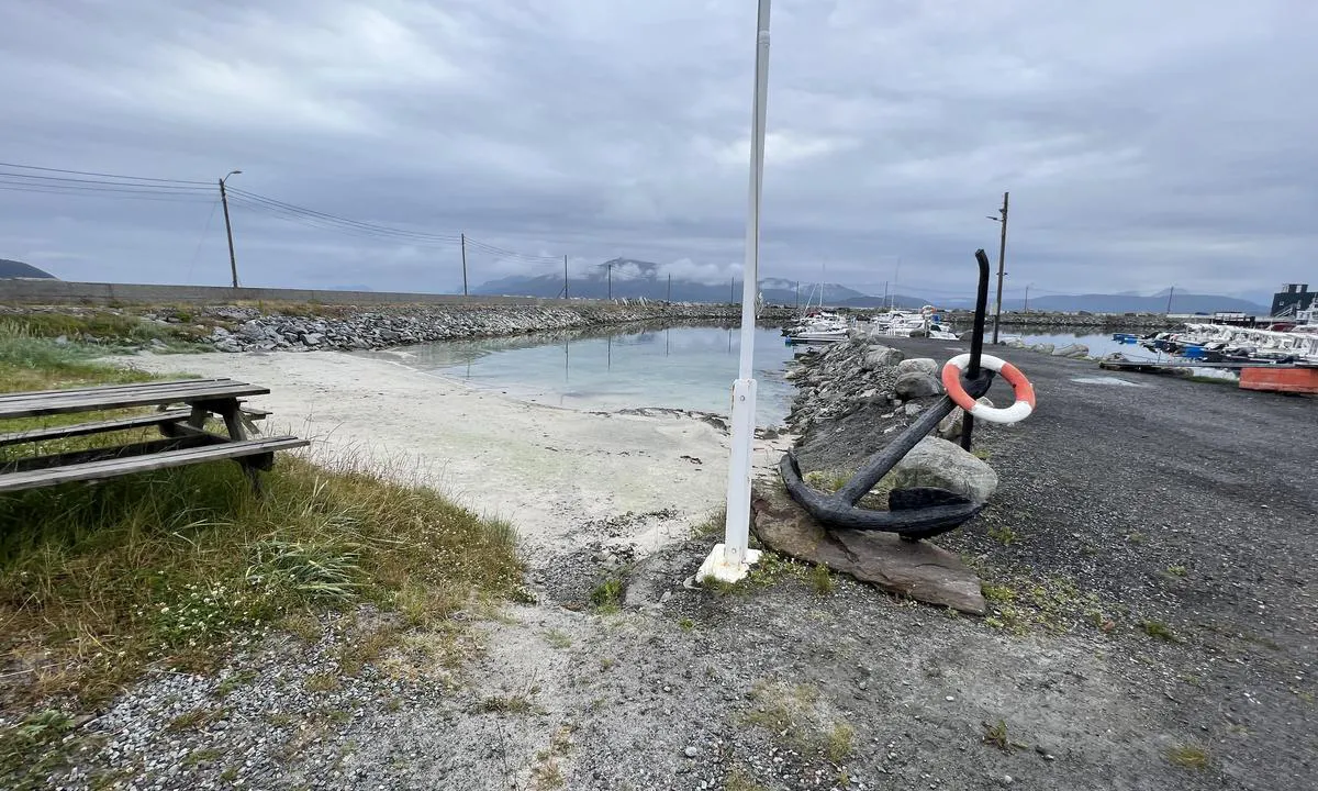 Roald Småbåtforening: Flotte bademuligheter rett nedenfor sambrukshuset.