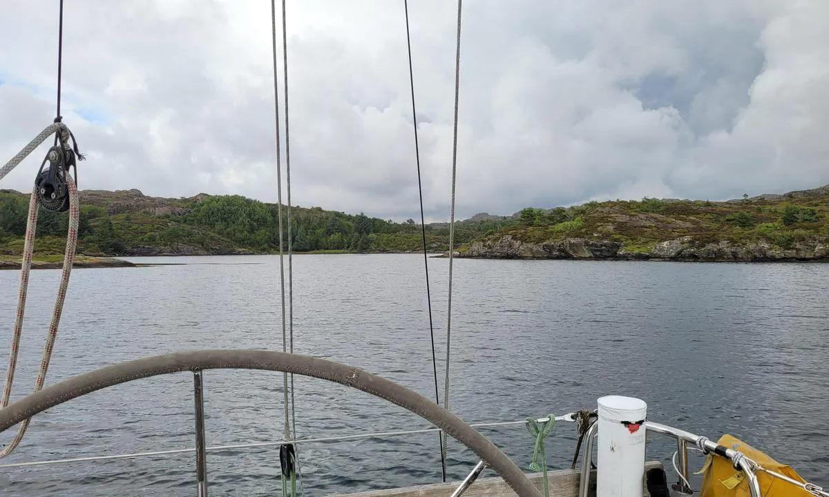 Roaldsfjorden: Innerste bukt, Slettevika. Tursti forbi i sjøkanten ved skogen