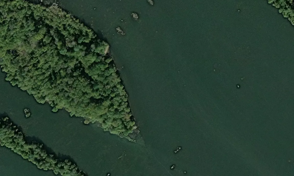 Satelite image of Robert Island