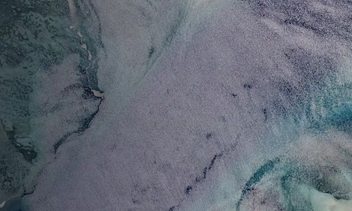 Satelite image of Robinson Crusoe