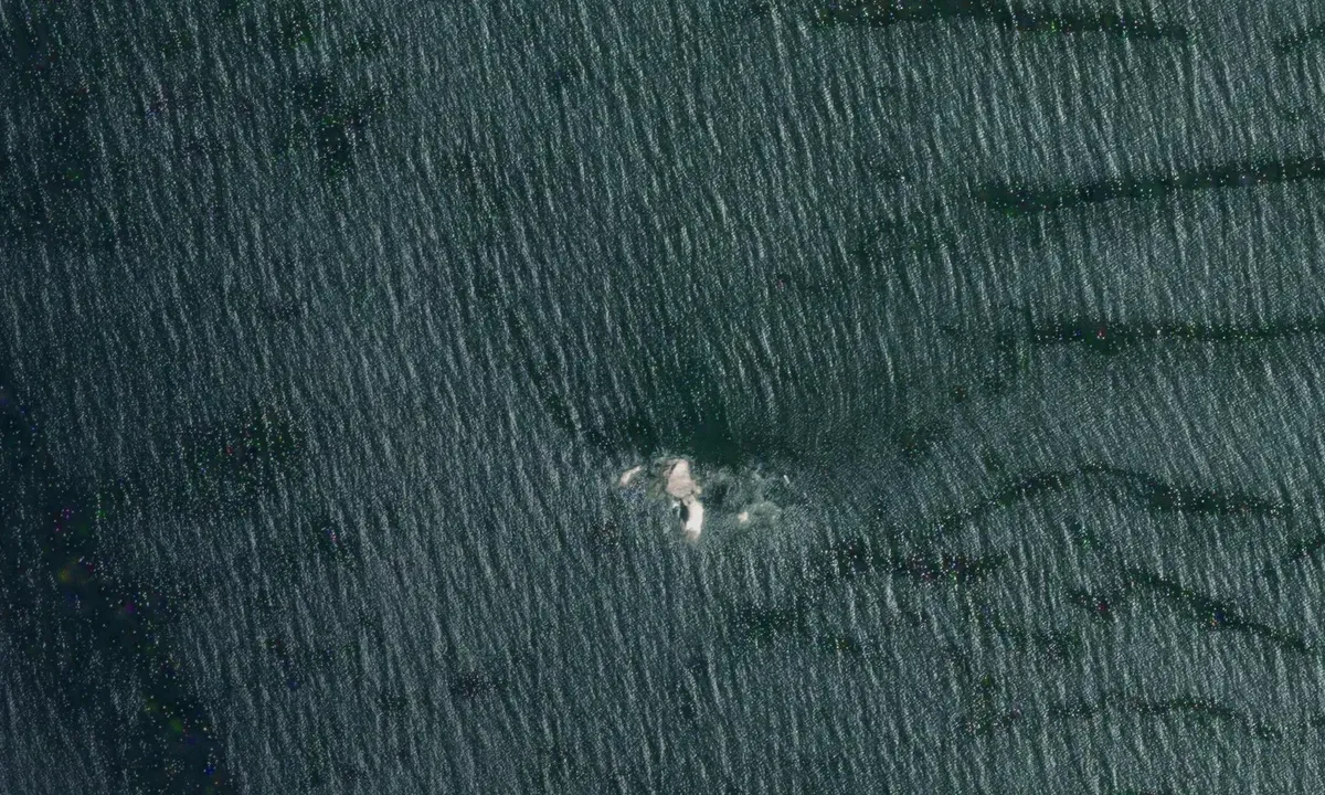 Satelite image of Roca Ventana