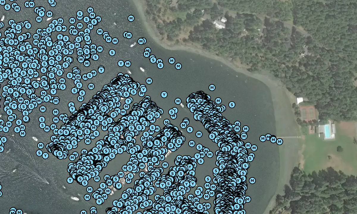 Satelite image of Roche Harbor Resort and Marina