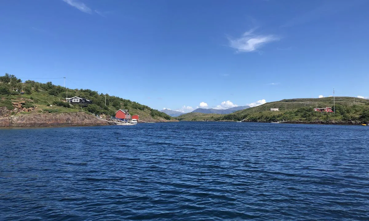 Rødhyllvågen