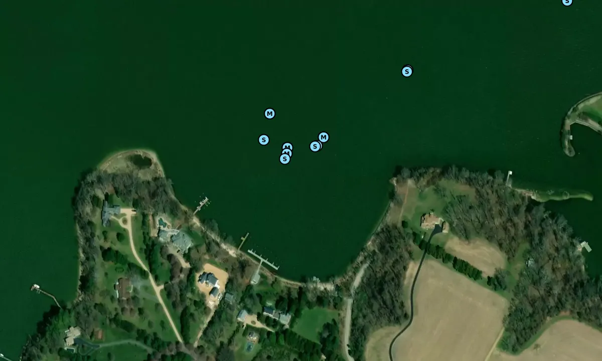 Satelite image of Rodney Cove