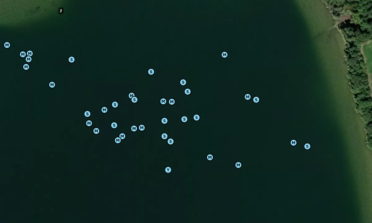 Satelite image of Rogue Pt