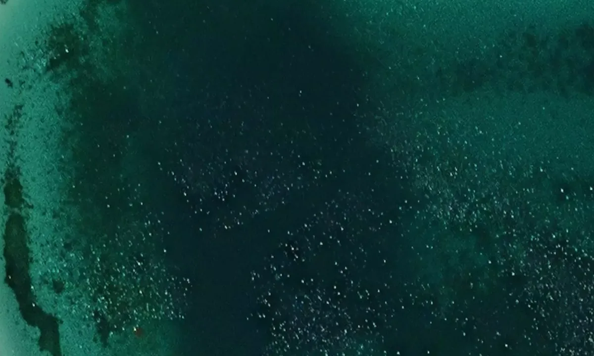 Satelite image of Rolfsøyhavn