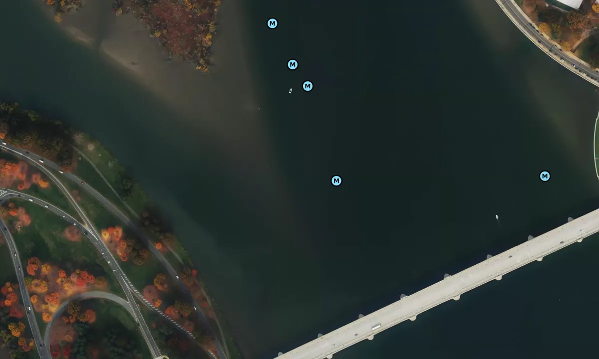 Satelite image of Roosevelt Island South