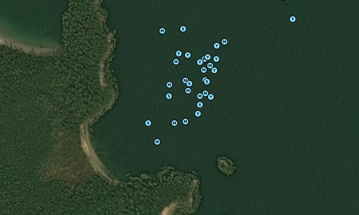 Satelite image of Roque Island - 2