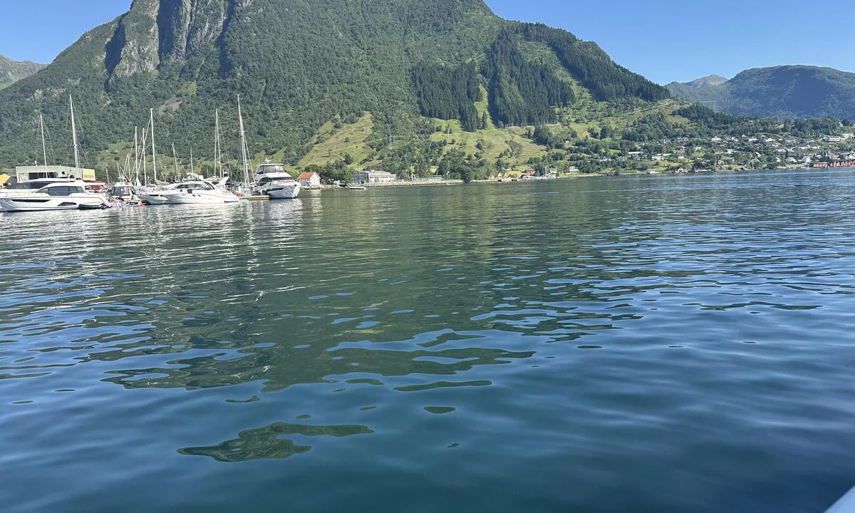 Rosendal Hamn