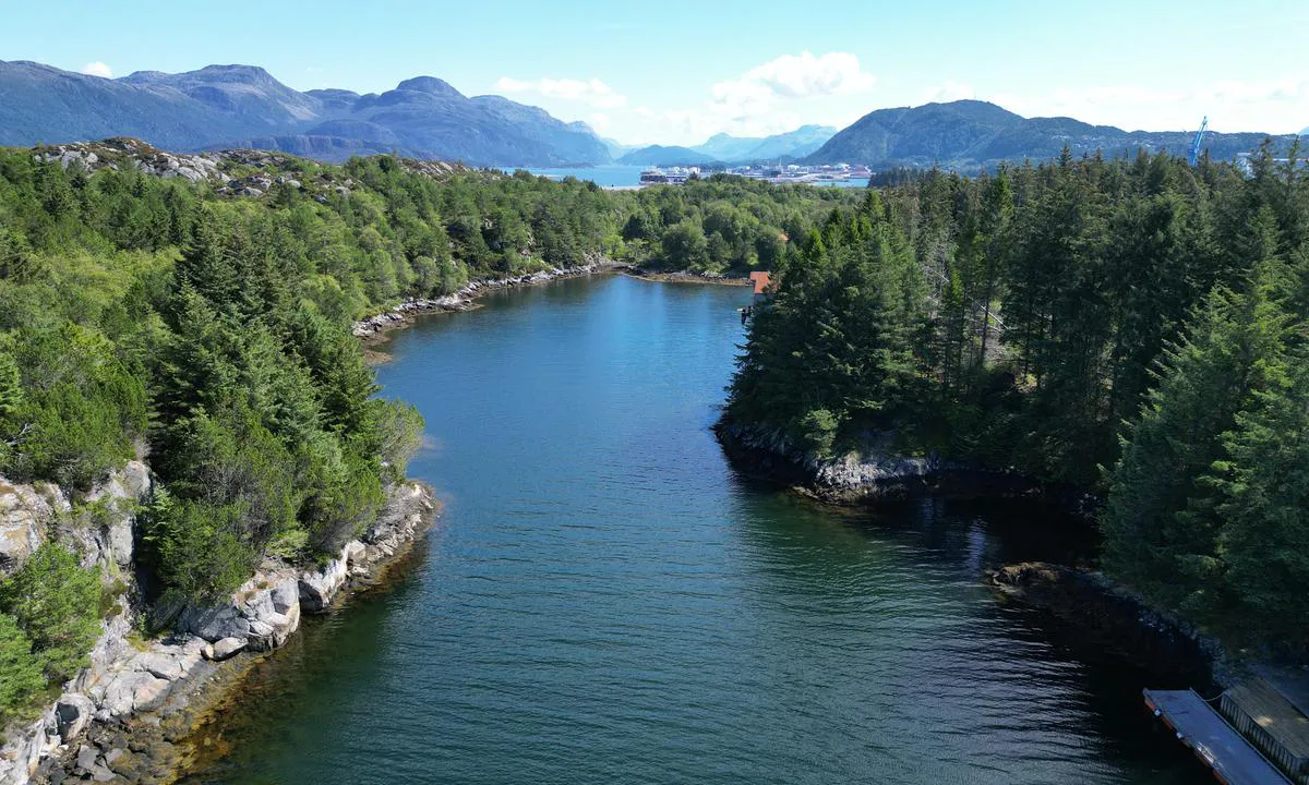 Rotavågen