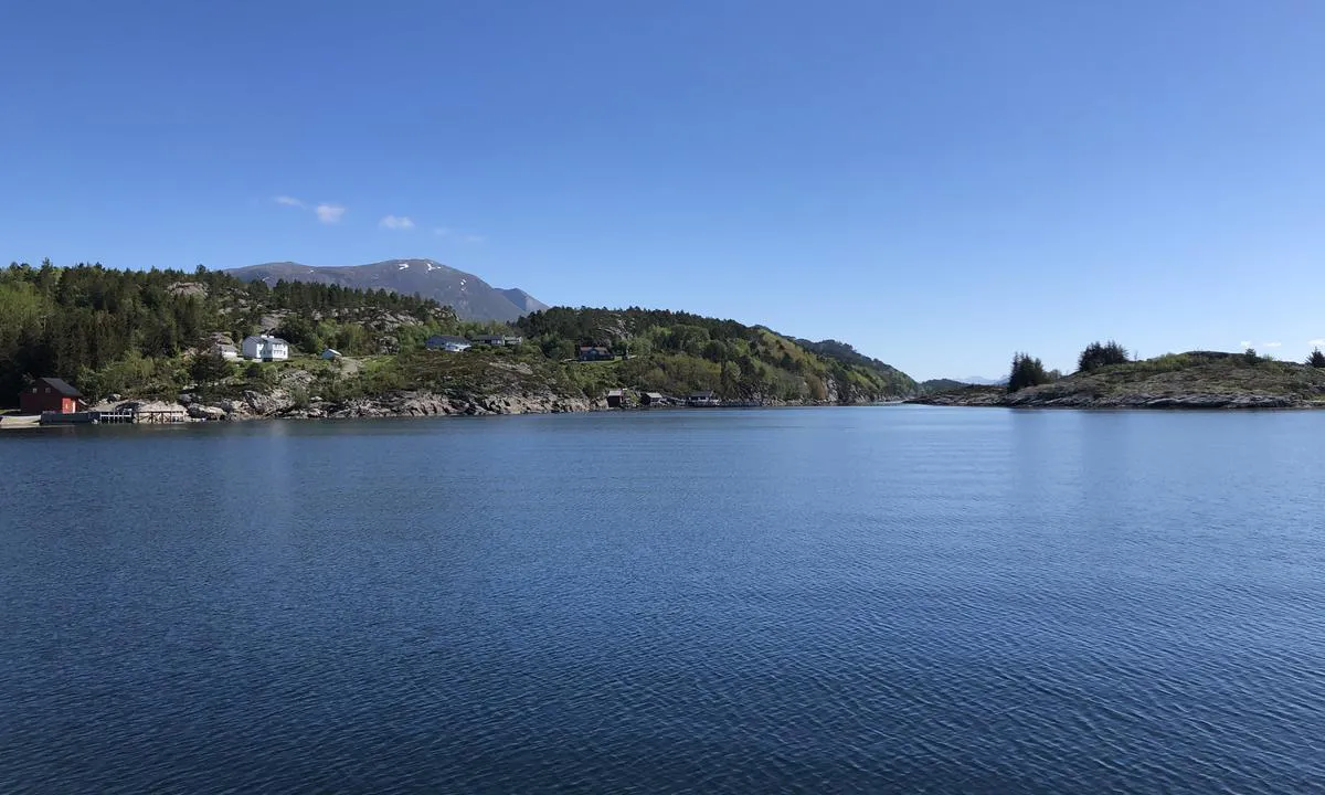 Det er enkel begyggelse på land ved Rovikholmen.