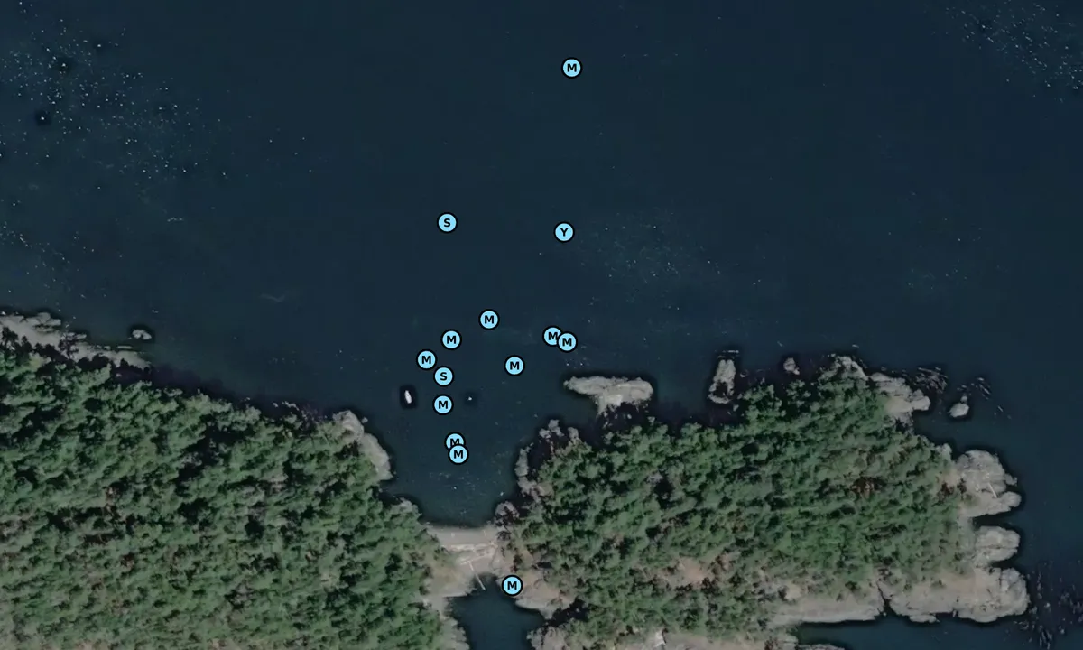 Satelite image of Rum Island Marine Park