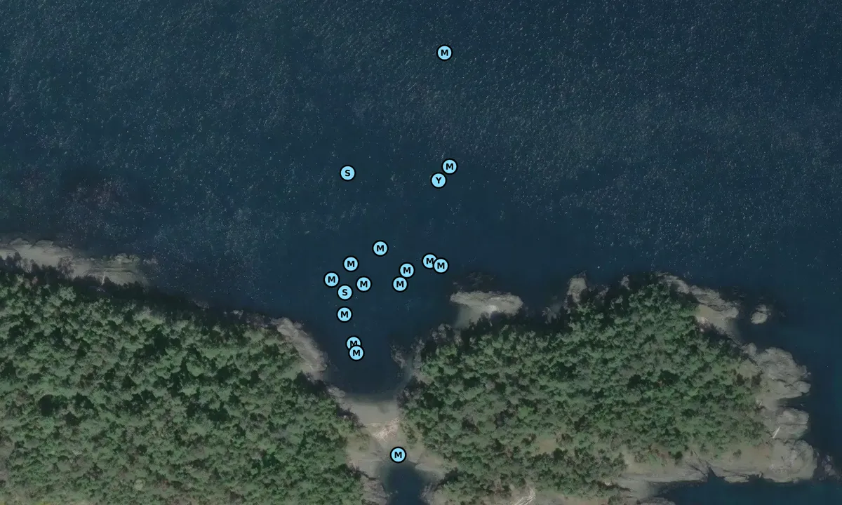 Satelite image of Rum Island Marine Park