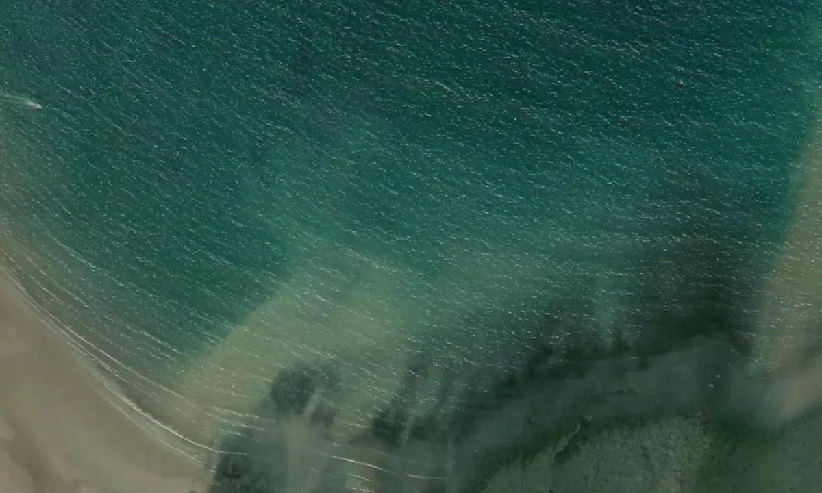 Satelite image of Runswick Bay