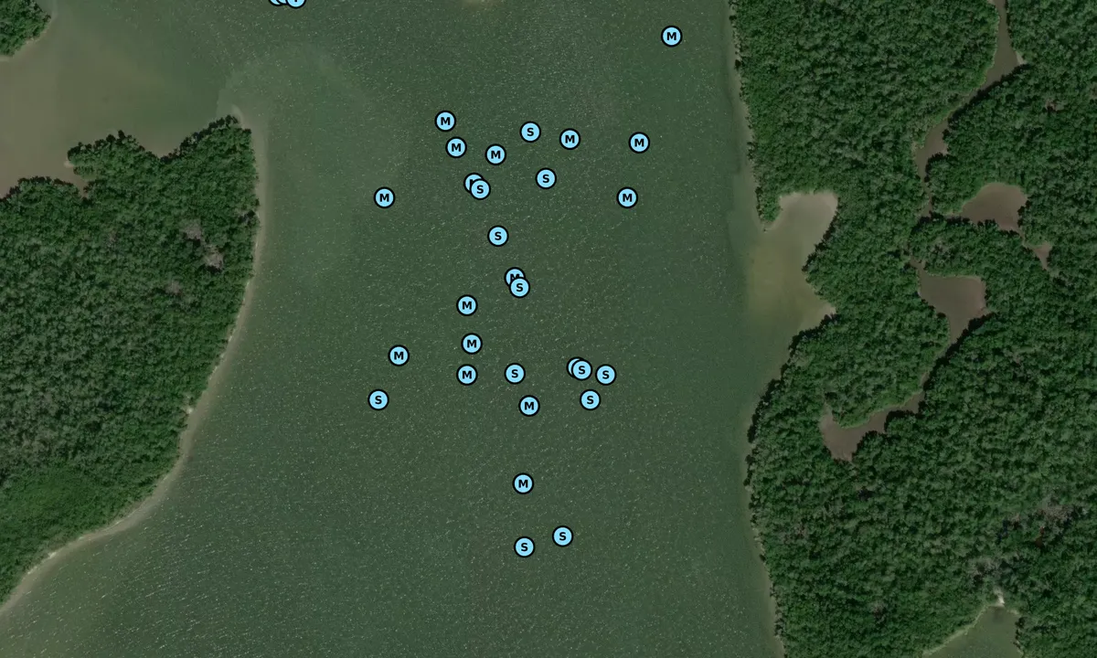 Satelite image of Rusell Bay