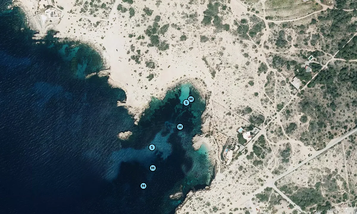 Satelite image of Sa Figuera Borda