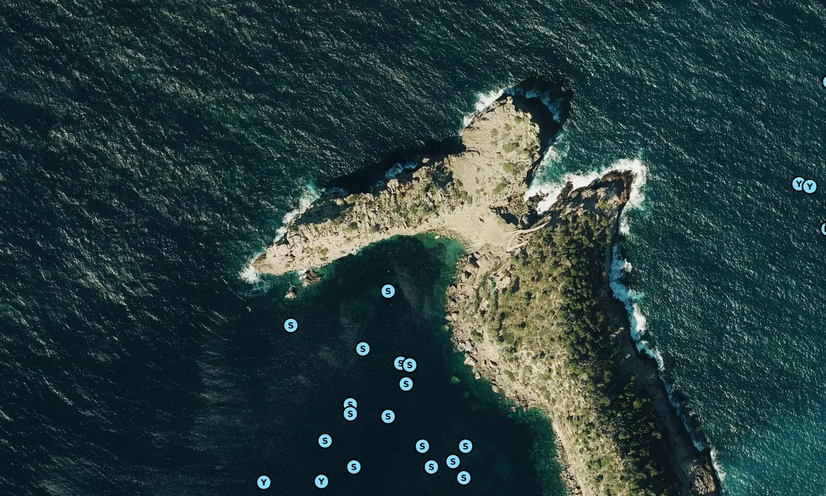 Satelite image of Sa Foradada