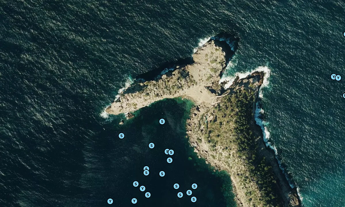 Satelite image of Sa Foradada