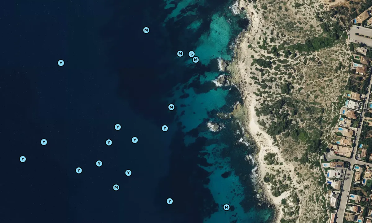 Satelite image of Sa Torre