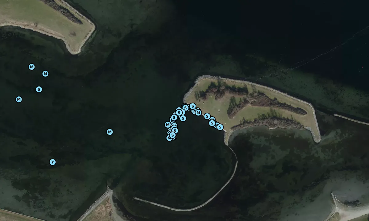 Satelite image of Sabbingeplaat Yacht Harbour